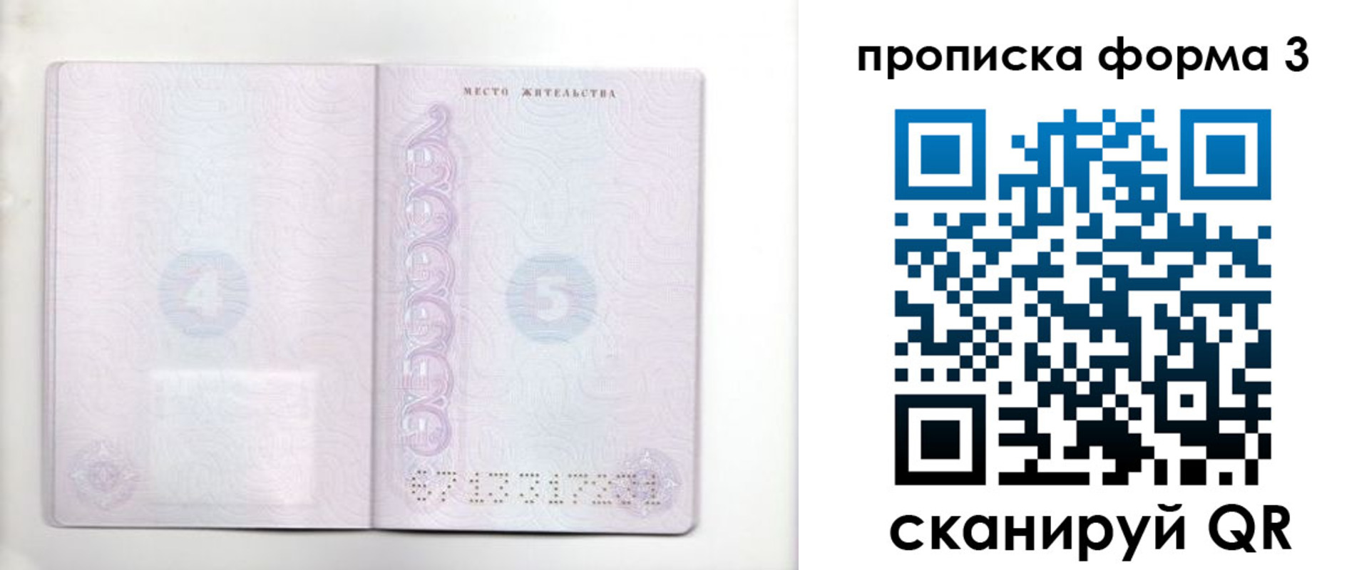 прописка гарантия в Собинке
